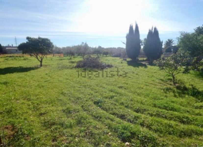 Casa Rural Las Marismas Villa Llucmajor  Exterior photo