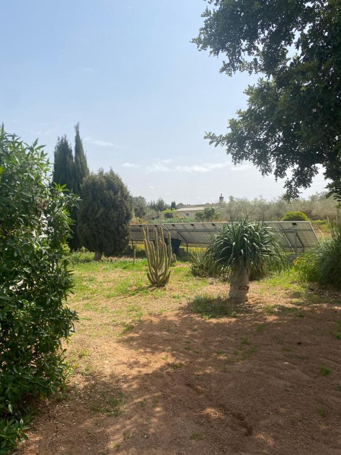 Casa Rural Las Marismas Villa Llucmajor  Exterior photo